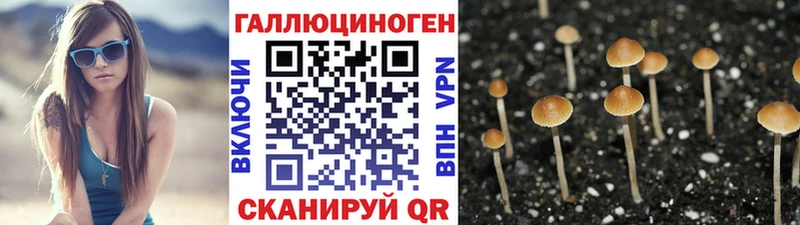 даркнет сайт  Клинцы  ОМГ ОМГ онион  Псилоцибиновые грибы мицелий 