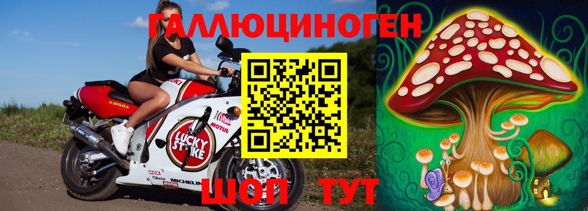 Псилоцибиновые грибы MAGIC MUSHROOMS  Псилоцибиновые грибы Cubensis  Вход с VPN  Клинцы 